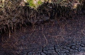 Forum Trinkwasser e.V.: Der Boden - unverzichtbarer Helfer für sauberes Trinkwasser / Weltbodentag am 5. Dezember 2021