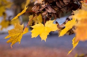 HUK-COBURG: Tipps für den Alltag: Wenn die Blätter fallen / Herbstlaub kann Straßen in rutschige Flächen verwandeln (FOTO)