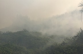 Feuerwehr Mönchengladbach: FW-MG: Feuer auf 30000 m2 Brachfläche gelöscht