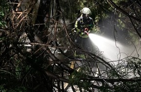 Feuerwehr Wetter (Ruhr): FW-EN: Nächtlicher Sirenenalarm in Alt-Wetter