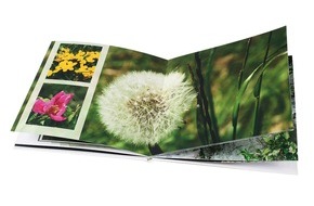 CEWE Stiftung & Co. KGaA: Das CEWE FOTOBUCH setzt Siegeszug fort (mit Bild) / Macwelt ehrt Edel-Variante auf Fotopapier von CeWe Color