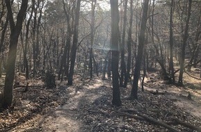 Polizeidirektion Landau: POL-PDLD: Schwer verletzter Mountainbiker nach Sturz im Wald