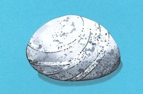 Naturmuseum Solothurn: Diverse Anlässe zu Kieselsteinen in und um das Naturmuseum SO