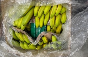 Hessisches Landeskriminalamt: LKA-HE: Kokain in Bananenkisten - Zollfahndung und Polizei stellen mehr als 500 Kilogramm Rauschgift sicher