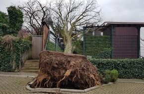 Feuerwehr Erkrath: FW-Erkrath: Sturmtief Friederike beschert der Feuerwehr Erkrath viel Arbeit