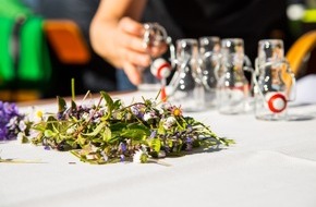 Allg&auml;u GmbH: Wie die Naturwellness Allg&auml;u traditionelles Kr&auml;uterwissen in moderne Auszeiten verwandelt.