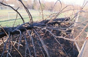 Polizeiinspektion Göttingen: POL-GÖ: (154/2021) Feuer am Sportplatz: Unbekannte zünden gefällten Baum in Bad Sachsa an, Zeugen gesucht