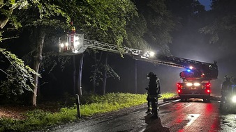 Freiwillige Feuerwehr Aurich: FW-AUR: Äste im Egelser Wald herabgestürzt