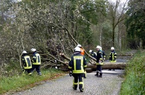 Kreisfeuerwehrverband Lüchow-Dannenberg e.V.: FW Lüchow-Dannenberg: Sturmtief Daniel - tobt auch im Wendland. Einsatzlage war aber überschaubar.