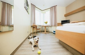 SRH Holding: Rehabilitation mit dem eigenen Haustier: SRH Gesundheitszentrum Dobel verdoppelt das Angebot an Tierzimmern