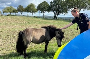 Kreispolizeibeh&ouml;rde Unna: POL-UN: Schwerte - Polizei f&auml;ngt ausgeb&uuml;xte Ponys in Wandhofen mit Flatterband ein