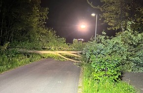 Freiwillige Feuerwehr Hünxe: FW Hünxe: Baum blockiert Straße