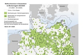 Wildtierschutz Deutschland e.V.: Nutztierrisse in den wolfreichsten Bundesländern rückläufig