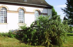 Polizeidirektion Göttingen: POL-GOE: (316/2011) - Unbekannte fällen Baum in Reyershausen