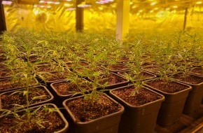 Kreispolizeibehörde Ennepe-Ruhr-Kreis: POL-EN: Gevelsberg- Drogenplantage in Lagerhalle entdeckt