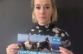 PETA Deutschland e.V.: Tierleid auf Santorin muss beendet werden: Deutsche Biathletin Maren Hammerschmidt setzt Zeichen gegen die Ausbeutung von Eseln und Maultieren als "Taxis"