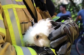 Freiwillige Feuerwehr Menden: FW Menden: Zwei gemeldete Küchenbrände zur selben Zeit