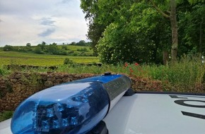 Polizeidirektion Neustadt/Weinstraße: POL-PDNW: Verkehrsunfall unter Alkoholeinfluss