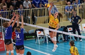 VC Wiesbaden Spielbetriebs GmbH: Wieder 0:3: VCW findet nicht in die Spur