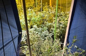 Polizei Bielefeld: POL-BI: Illegale Cannabis-Plantage aufgedeckt