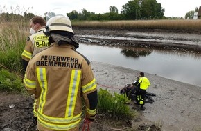 Feuerwehr Bremerhaven: FW Bremerhaven: Feuerwehr rettet Angler aus dem Geesteufer