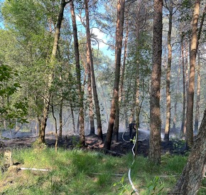 FW-ROW: ++ Waldbrand in Tiste - 1800 Quadratmeter Waldfläche in Brand ++ Schwerer Verkehrsunfall auf der L 130