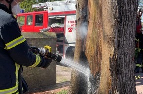 Feuerwehr Schermbeck: FW-Schermbeck: Brennender Baumstamm sorgt für Einsatz