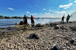 Feuerwehr Neuss: FW-NE: Kurioser Einsatz am Rhein | Brennender Heuballen im Wasser sorgt für Feuerwehreinsatz