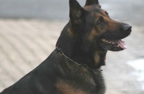 Polizei Rhein-Erft-Kreis: POL-REK: Drogendealer festgenommen/ Pulheim