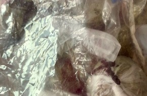 Zollfahndungsamt Essen: ZOLL-E: Gemischte Drogen eingeschmuggelt
 - Über 2 kg Marihuana und über 4 kg Amphetamin sichergestellt, 
2 Personen in Untersuchungshaft