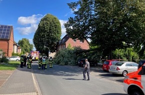 Feuerwehr Bochum: FW-BO: Baum legt sich auf Taxi, Glück gehabt