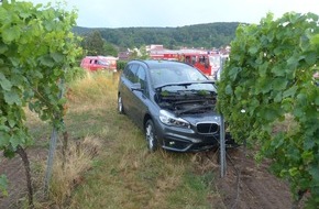 Polizeidirektion Neustadt/Weinstraße: POL-PDNW: Unfall im Wingert