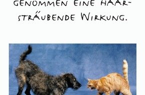 pharmaSuisse - Schweizerischer Apotheker Verband / Société suisse des Pharmaciens: Neben- und Wechselwirkungen von Medikamenten - Manche Medikamente "beissen" sich