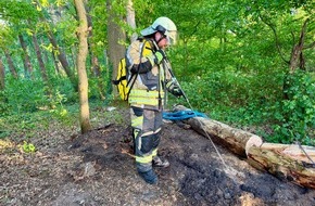 Freiwillige Feuerwehr Hünxe: FW Hünxe: Brennender Baum im Waldstück