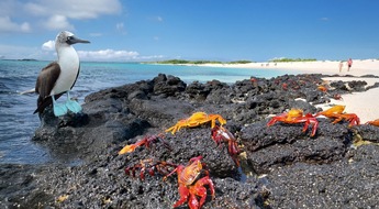 Eberhardt TRAVEL vom 18.-22.2.26 auf der Reisemesse f.re.e in M&uuml;nchen