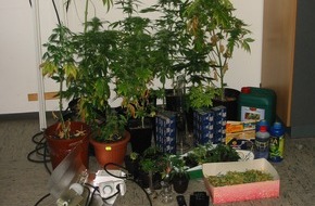 Polizeiinspektion Hildesheim: POL-HI: 33-jähriger Hildesheimer baut Cannabis an