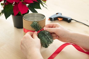 DIY-Tipp zum Nikolaustag - Last Minute-Mitbringsel: Weihnachtsstern in der Dose