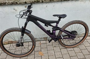 Polizeidirektion Ludwigshafen: POL-PDLU: Speyer - Diebstahl eines hochwertigen Fahrrads - Zeugen gesucht