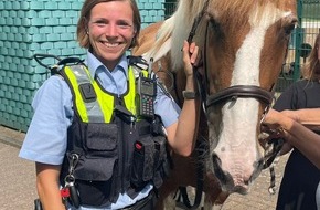 Polizei Mettmann: POL-ME: Tierischer Einsatz für die Polizei - entlaufenes Pferd eingefangen - Hilden - 2208077