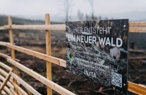 Insta GmbH: Presseinformation: Insta hilft dem Wald in der Region Lüdenscheid