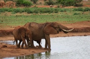 IFAW Deutschland: TUI Care Foundation und IFAW gemeinsam gegen Wilderei