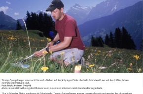 Schweizerischer Nationalfonds / Fonds national suisse: SNF: Bild des Monats 2006: Alpenvegetation durch Kalkgaben für 
Jahrzehnte verändert