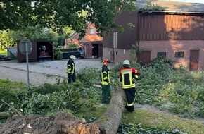 Freiwillige Feuerwehr Gemeinde Schiffdorf: FFW Schiffdorf: Feuerwehr beseitigt Baum von Straße