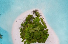 Opodo Deutschland: Gestrandet mit dem Survival-Profi? / So wählen Deutsche ihren Urlaubspartner laut Opodo-Umfrage