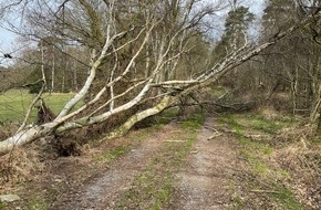 Feuerwehr Schermbeck: FW-Schermbeck: Umgekippter Baum - Kein Einsatz für die Feuerwehr