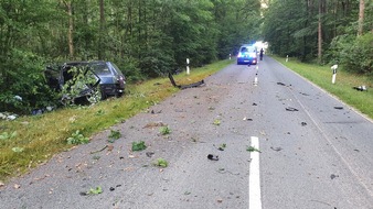 Polizeiinspektion Gifhorn: POL-GF: Tragischer Verkehrsunfall endet tödlich
