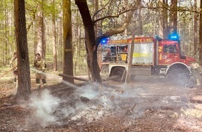 Freiwillige Feuerwehr Lehrte: FW Lehrte: Feuer im Wald bei Ahlten