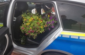 Polizei Bochum: POL-BO: Bochum / Vielen Dank für die Blumen! - Bochumer Polizei bringt prächtig blühendes Diebesgut zurück