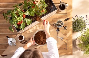 Hob Creations GmbH (f&uuml;r die Marken LECHUZA & PON): F&uuml;nf Pflanzenmythen auf der Spur: Was bringen Kaffeesatz, Streichh&ouml;lzer und Co. wirklich?