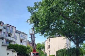 Feuerwehr Wetter (Ruhr): FW-EN: Feuerwehr Wetter (Ruhr) am Wochenende: - Flächenbrand - Gefahrenbaum - Brandmeldealarm -